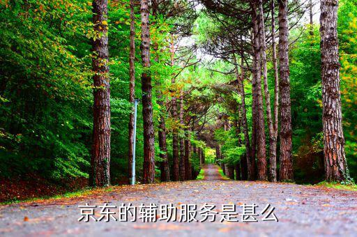物流輔助屬于什么服務，貨物配服務屬于哪個行業(yè)