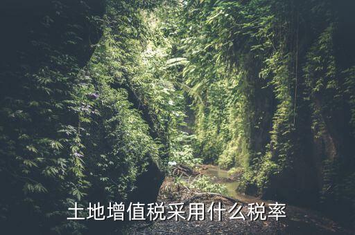 土地增值稅用什么稅率，土地增值稅采用什么稅率