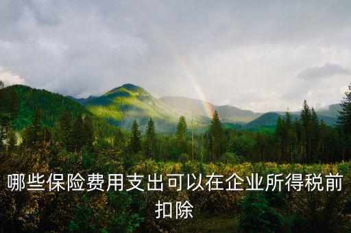什么保險可以稅前扣除，哪些保險費用支出可以在企業(yè)所得稅前扣除
