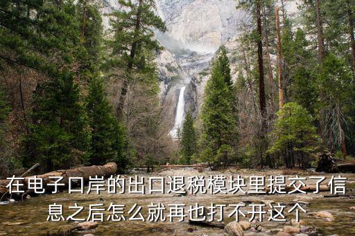為什么退稅平臺進(jìn)不去，在電子口岸的出口退稅模塊里提交了信息之后怎么就再也打不開這個