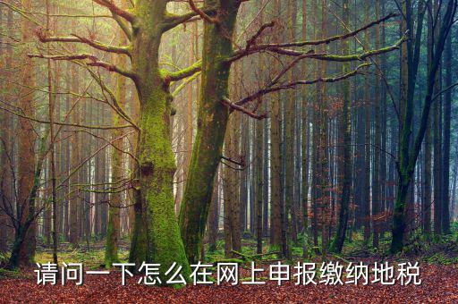 地稅個(gè)稅網(wǎng)址是什么，如何查詢個(gè)人所得稅明細(xì)