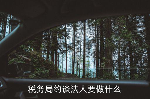 稅務異常約談法定代表干什么，稅務局約談法人要做什么