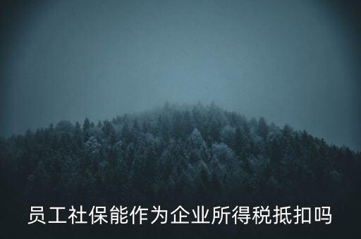 企業(yè)社?？梢缘质裁炊悾瑔T工社保能作為企業(yè)所得稅抵扣嗎