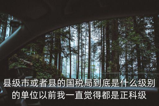 縣國稅局辦稅服務(wù)廳主任是什么級別，縣地稅局辦公室主任是什么行政級別