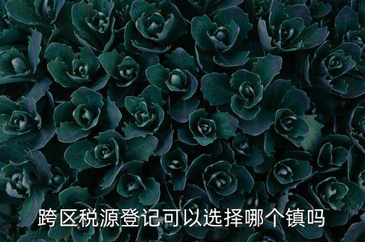 跨區(qū)稅源登記是什么，跨區(qū)稅源登記能否登記為一般納稅人