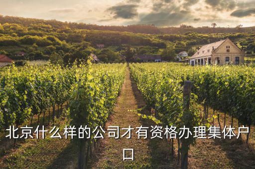 什么事北京千戶集團企業(yè)，千氏北京房地產(chǎn)經(jīng)紀(jì)有限公司