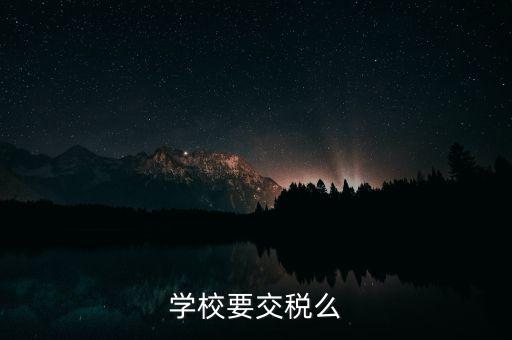 民辦學(xué)校交什么稅，你好我想問問民辦學(xué)?？梢砸髮W(xué)生補課嗎把補課的錢作為必交費
