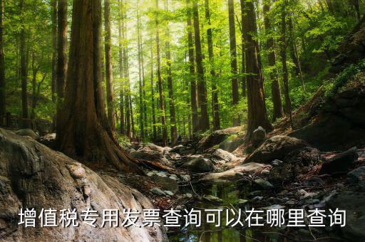 什么地方可以查發(fā)票內(nèi)容，怎樣通過發(fā)票號(hào)碼查尋發(fā)票內(nèi)容