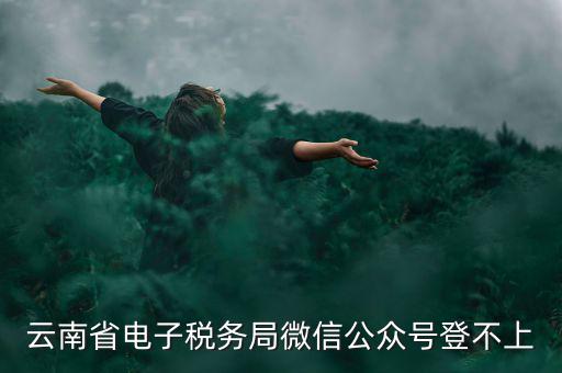為什么云南省國(guó)家稅務(wù)局進(jìn)不去，云南省電子稅務(wù)局微信公眾號(hào)登不上