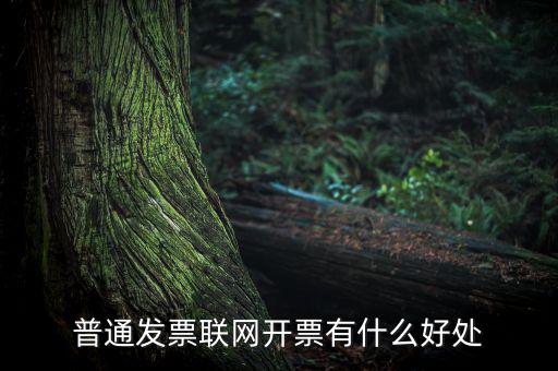 普通網(wǎng)絡(luò)發(fā)票有什么用，開(kāi)普通發(fā)票網(wǎng)絡(luò)受理號(hào)有什么作用