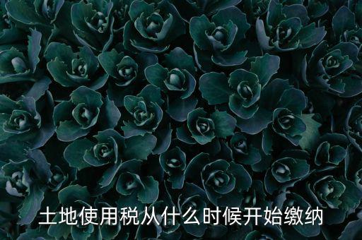 土地使用稅什么時(shí)候開始交，什么時(shí)候開始繳納房產(chǎn)稅和土地使用稅是否都要繳納