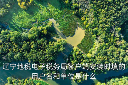 電子稅務(wù)局賬號是什么，注冊電子稅務(wù)局郵箱怎么填我填了qq 郵箱還提示讓我填寫有效郵