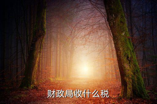 財(cái)政局征收什么稅，現(xiàn)行由財(cái)政機(jī)關(guān)征收的稅收有哪些拜托各位大神