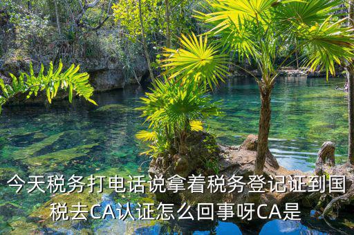 電子稅務(wù)局什么是ca登錄，網(wǎng)上報(bào)稅CA驗(yàn)證系統(tǒng)是甚么