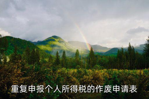 申報表作廢申請單 要帶什么，國稅報表作廢帶什么