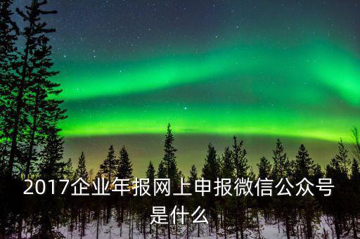 企業(yè)申報客戶端是什么意思，2017企業(yè)年報網(wǎng)上申報微信公眾號是什么