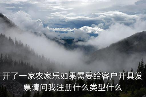 我要是以開普票為主 注冊(cè)什么性質(zhì)的公司好，開了一家農(nóng)家樂如果需要給客戶開具發(fā)票請(qǐng)問我注冊(cè)什么類型什么