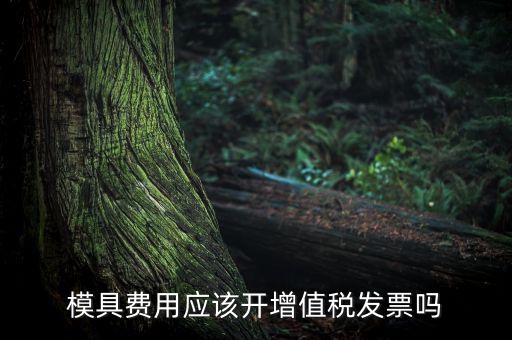 模具設(shè)計開發(fā)費開什么發(fā)票，模具開發(fā)及制造費一般開什么發(fā)票明細(xì)