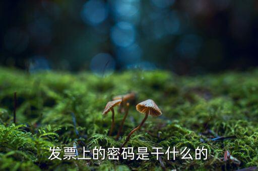 湖南汽車發(fā)票密碼是什么意思，發(fā)票上的密碼是做什么用的啊