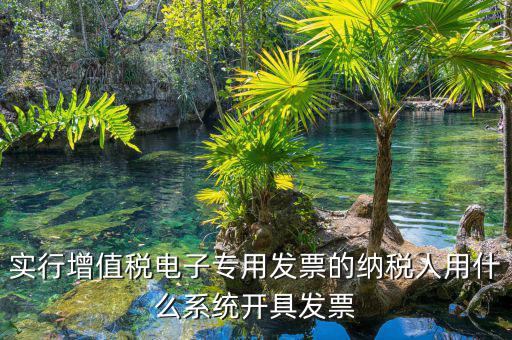 增值稅電子發(fā)票系統(tǒng)是什么，電子發(fā)票是什么