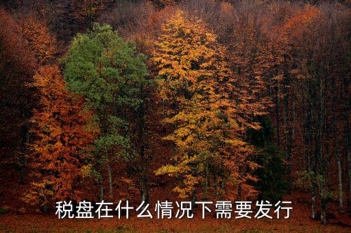 稅控盤變更發(fā)行是什么意思，更換稅控盤需要什么