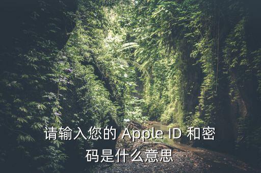查詢個稅 密碼是輸入什么，請輸入您的 Apple ID 和密碼是什么意思