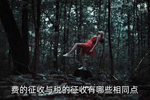 稅與費有什么區(qū)別 稅收具有，費的征收與稅的征收有哪些相同點