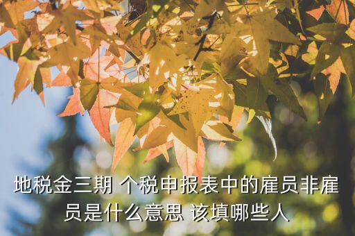 雇員納稅人是什么意思，地稅金三期 個稅申報表中的雇員非雇員是什么意思 該填哪些人
