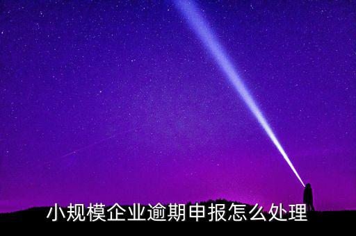 小規(guī)模納稅人如果沒有按時(shí)申報(bào)有什么后果，小規(guī)模不報(bào)稅什么后果