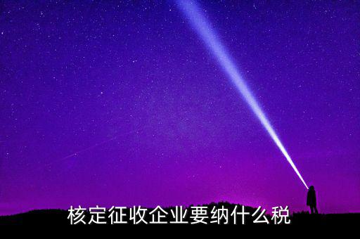 什么稅可以核定征收，核定征收企業(yè)要納什么稅
