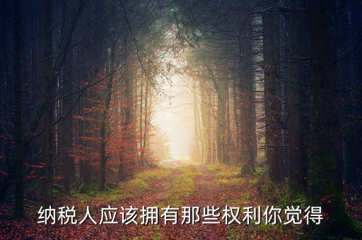 納稅人的權(quán)益有什么，納稅人應(yīng)該擁有那些權(quán)利你覺得