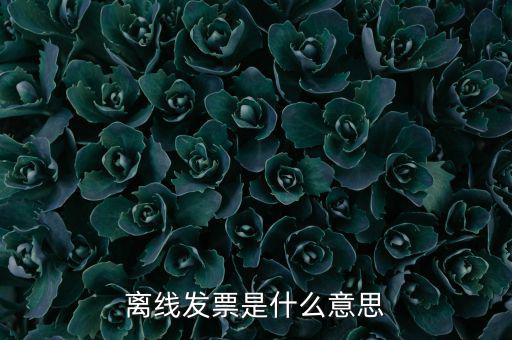 離線(xiàn)開(kāi)票什么意思，離線(xiàn)發(fā)票是什么意思
