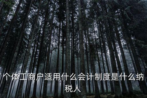 個體戶屬于什么納稅人，從事縫紉業(yè)務的個體戶屬于哪一類納稅人