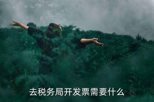 常州國稅認(rèn)證發(fā)票需要帶什么手續(xù)，去國稅認(rèn)證發(fā)票需要帶什么資料
