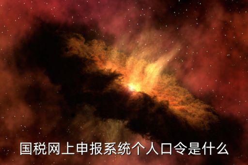 國稅證書口令是什么意思，網(wǎng)上申報(bào)國稅系統(tǒng)登陸的口令是什么