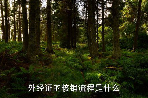核銷的外經(jīng)證是什么樣，外經(jīng)證核銷是什么意思