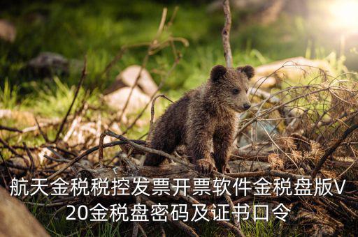 新稅盤證書口令是什么，金稅盤初始密碼和口令是多少