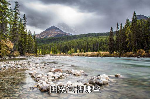 什么屬于國稅，什么樣的經營范圍屬于國稅