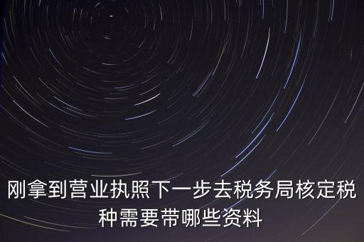 湖北國稅增加稅種需要帶什么資料，企業(yè)報(bào)稅種需要帶什么資料