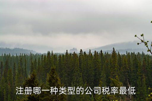 蘇州開什么樣的公司稅率最低，注冊(cè)什么類型的公司交稅最少