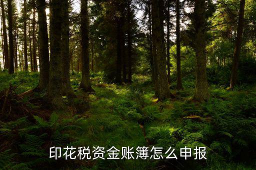 賬簿印花稅申報選什么，賬簿印花稅如何申報