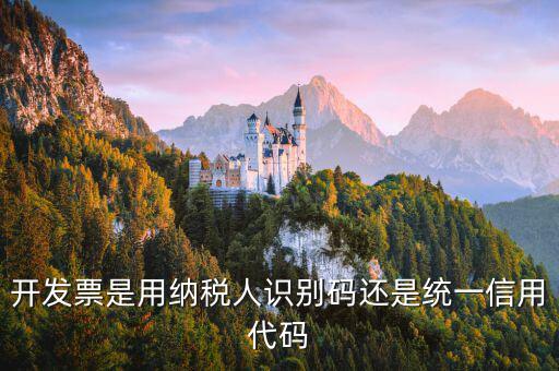 發(fā)票上的信用代碼是什么，現(xiàn)在開(kāi)發(fā)票要的社會(huì)信用代碼是誰(shuí)的代碼