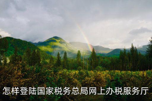 稅務(wù)局登錄什么瀏覽器可以，怎樣登陸國家稅務(wù)總局網(wǎng)上辦稅服務(wù)廳