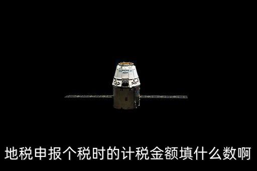 地稅申報(bào)個稅時的計(jì)稅金額填什么數(shù)啊