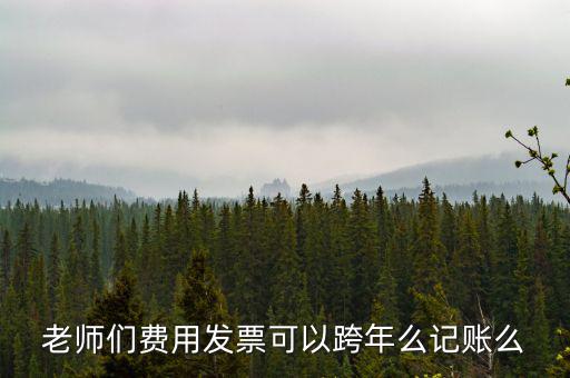 什么發(fā)票可以跨年入賬，增值稅專用發(fā)票可以跨年做賬嗎