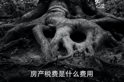 什么是房土兩稅，什么是城鎮(zhèn)土地使用稅