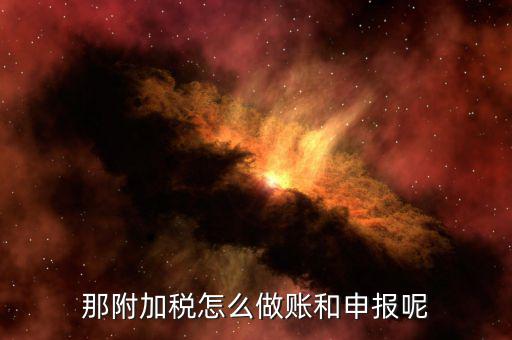 各項(xiàng)附加稅申報(bào)說(shuō)明之后做什么，增值稅及附加稅費(fèi)申報(bào)表填完后怎么申報(bào)