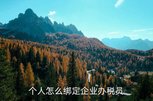辦稅人員該綁定什么人，個人怎么綁定企業(yè)辦稅員