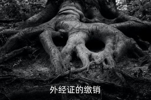 廈門繳銷外經(jīng)證國(guó)稅什么資料，廈門國(guó)稅需銷項(xiàng)合同是什么