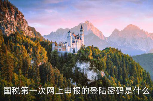 國稅網(wǎng)報口令是什么，國稅第一次網(wǎng)上申報的登陸密碼是什么